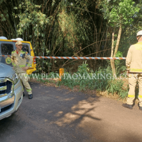 Mulher é encontrada sem cabeça e nua dentro de córrego em Maringá Foto 8 Fotos de Mulher é encontrada sem cabeça e nua dentro de córrego em Maringá