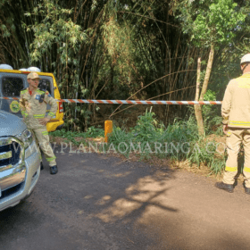 Mulher é encontrada sem cabeça e nua dentro de córrego em Maringá Foto 10 Fotos de Mulher é encontrada sem cabeça e nua dentro de córrego em Maringá