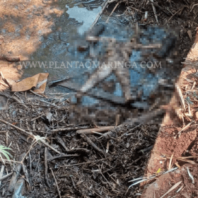 Mulher é encontrada sem cabeça e nua dentro de córrego em Maringá Foto 9 Fotos de Mulher é encontrada sem cabeça e nua dentro de córrego em Maringá