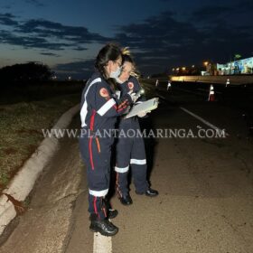 Mulher morre após cair de moto e ser atropelada por vários veículos em Maringá Foto 11 Fotos de Mulher morre após cair de moto e ser atropelada por vários veículos em Maringá