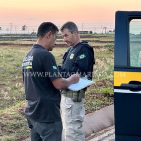 Mulher morre após cair de moto e ser atropelada por vários veículos em Maringá Foto 12 Fotos de Mulher morre após cair de moto e ser atropelada por vários veículos em Maringá