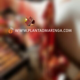 Homem morto e que teve o coração arrancado é identificado Foto 15 Fotos de Homem morto e que teve o coração arrancado é identificado