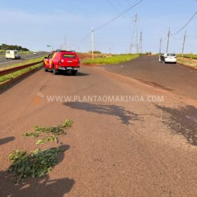 Homem sofre ferimentos graves ao ser atropelado por caminhão em Maringá Foto 2 Fotos de Homem sofre ferimentos graves ao ser atropelado por caminhão em Maringá