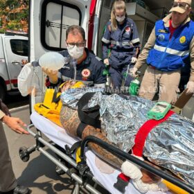 Homem suspeito de matar uma pessoa em Maringá é baleado na nuca em Mandaguaçu Foto 2 Fotos de Homem suspeito de matar uma pessoa em Maringá é baleado na nuca em Mandaguaçu