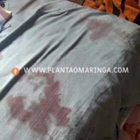 Homem sofre duas tentativas de homicídio em um único dia em Maringá Foto 6 Fotos de Homem sofre duas tentativas de homicídio em um único dia em Maringá