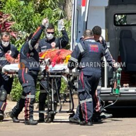 Suspeito de integrar quadrilha de roubo de caminhonete Hilux é baleado em confronto com a Polícia Militar em Sarandi Foto 12 Fotos de Suspeito de integrar quadrilha de roubo de caminhonete Hilux é baleado em confronto com a Polícia Militar em Sarandi