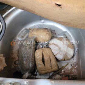 Mega Operação das forças de segurança é realizada em Maringá e Sarandi Foto 7 Fotos de Mega Operação das forças de segurança é realizada em Maringá e Sarandi
