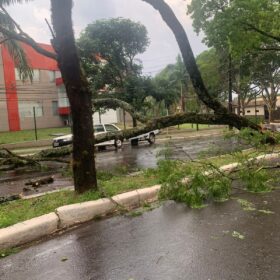 Tenda desaba com forte chuva e deixa 8 pessoas feridas em Maringá Foto 16 Fotos de Tenda desaba com forte chuva e deixa 8 pessoas feridas em Maringá