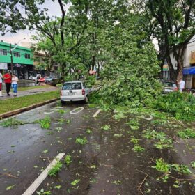 Tenda desaba com forte chuva e deixa 8 pessoas feridas em Maringá Foto 17 Fotos de Tenda desaba com forte chuva e deixa 8 pessoas feridas em Maringá
