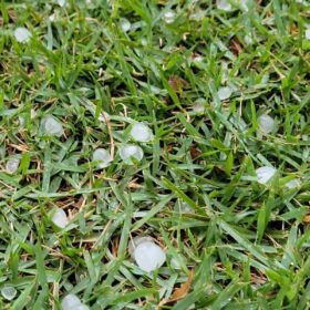 Tenda desaba com forte chuva e deixa 8 pessoas feridas em Maringá Foto 18 Fotos de Tenda desaba com forte chuva e deixa 8 pessoas feridas em Maringá