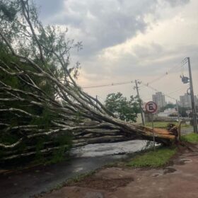 Tenda desaba com forte chuva e deixa 8 pessoas feridas em Maringá Foto 20 Fotos de Tenda desaba com forte chuva e deixa 8 pessoas feridas em Maringá