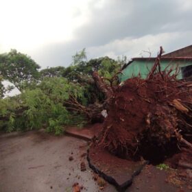 Tenda desaba com forte chuva e deixa 8 pessoas feridas em Maringá Foto 22 Fotos de Tenda desaba com forte chuva e deixa 8 pessoas feridas em Maringá