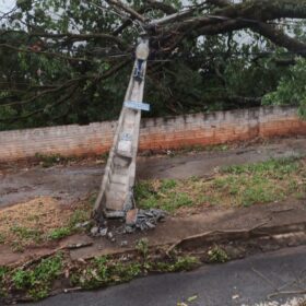 Tenda desaba com forte chuva e deixa 8 pessoas feridas em Maringá Foto 24 Fotos de Tenda desaba com forte chuva e deixa 8 pessoas feridas em Maringá