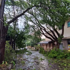 Tenda desaba com forte chuva e deixa 8 pessoas feridas em Maringá Foto 25 Fotos de Tenda desaba com forte chuva e deixa 8 pessoas feridas em Maringá