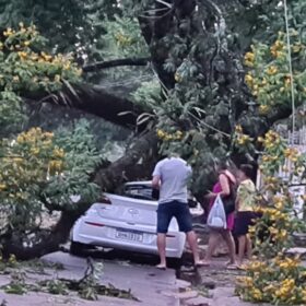 Tenda desaba com forte chuva e deixa 8 pessoas feridas em Maringá Foto 26 Fotos de Tenda desaba com forte chuva e deixa 8 pessoas feridas em Maringá