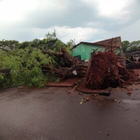 Tenda desaba com forte chuva e deixa 8 pessoas feridas em Maringá Foto 29 Fotos de Tenda desaba com forte chuva e deixa 8 pessoas feridas em Maringá