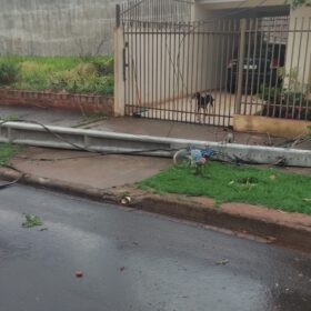 Tenda desaba com forte chuva e deixa 8 pessoas feridas em Maringá Foto 30 Fotos de Tenda desaba com forte chuva e deixa 8 pessoas feridas em Maringá