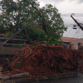 Tenda desaba com forte chuva e deixa 8 pessoas feridas em Maringá Foto 31 Fotos de Tenda desaba com forte chuva e deixa 8 pessoas feridas em Maringá