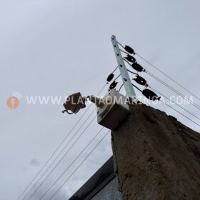 Casa onde estavam duas crianças é atingida por 15 tiros em Sarandi Foto 6 Fotos de Casa onde estavam duas crianças é atingida por 15 tiros em Sarandi