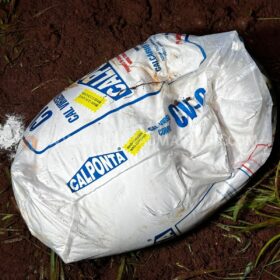 Mulher trans que foi executada a tiros em Sarandi é identificada Foto 6 Fotos de Mulher trans que foi executada a tiros em Sarandi é identificada