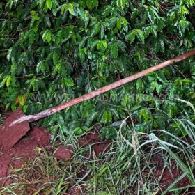 Mulher trans que foi executada a tiros em Sarandi é identificada Foto 13 Fotos de Mulher trans que foi executada a tiros em Sarandi é identificada