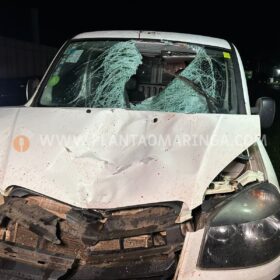 Durante viagem homem apresenta problemas de saúde e ao descer de ônibus morre ao ser atropelado em Maringá Foto 8 Fotos de Durante viagem homem apresenta problemas de saúde e ao descer de ônibus morre ao ser atropelado em Maringá