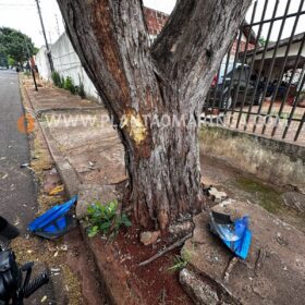 Morre motociclista que bateu em árvore ao tentar fugir da polícia em Maringá Foto 6 Fotos de Morre motociclista que bateu em árvore ao tentar fugir da polícia em Maringá