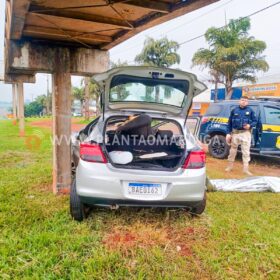 Jovem de 20 anos morre ao bater em coluna de passarela em Maringá Foto 3 Fotos de Jovem de 20 anos morre ao bater em coluna de passarela em Maringá
