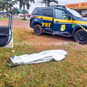 Motorista morre ao bater em coluna de passarela em Maringá Foto 14 Fotos de Motorista morre ao bater em coluna de passarela em Maringá