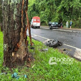 Carro de luxo fica destruído após bater contra árvore em Maringá Foto 11 Fotos de Carro de luxo fica destruído após bater contra árvore em Maringá