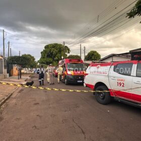 Criança de 1 ano é atingida por peça de mármore em incidente doméstico Foto 4 Fotos de Criança de 1 ano é atingida por peça de mármore em incidente doméstico