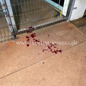 Câmera registrou ladrões que explodiram caixa eletrônico em Maringá Foto 11 Fotos de Câmera registrou ladrões que explodiram caixa eletrônico em Maringá
