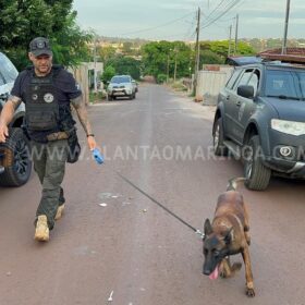 Denarc cumpre mandados contra suspeitos de tráfico de drogas em Maringá e região Foto 7 Fotos de Denarc cumpre mandados contra suspeitos de tráfico de drogas em Maringá e região