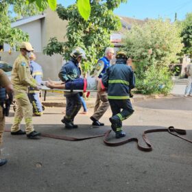 Duas mulheres e uma criança sofreram ferimentos graves após carro bater em árvore Foto 5 Fotos de Duas mulheres e uma criança sofreram ferimentos graves após carro bater em árvore