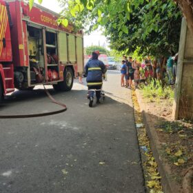 Duas mulheres e uma criança sofreram ferimentos graves após carro bater em árvore Foto 7 Fotos de Duas mulheres e uma criança sofreram ferimentos graves após carro bater em árvore