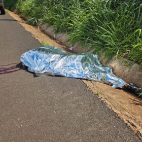 Homem é encontrado morto às margens da rodovia BR-376 Foto 2 Fotos de Homem é encontrado morto às margens da rodovia BR-376
