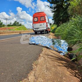 Homem é encontrado morto às margens da rodovia BR-376 Foto 1 Fotos de Homem é encontrado morto às margens da rodovia BR-376