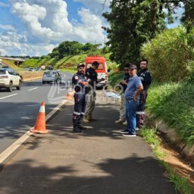 Homem é encontrado morto às margens da rodovia BR-376 Foto 4 Fotos de Homem é encontrado morto às margens da rodovia BR-376