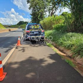 Homem é encontrado morto às margens da rodovia BR-376 Foto 5 Fotos de Homem é encontrado morto às margens da rodovia BR-376