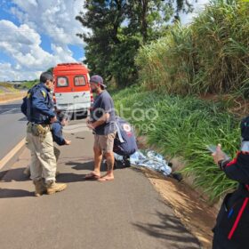 Homem é encontrado morto às margens da rodovia BR-376 Foto 7 Fotos de Homem é encontrado morto às margens da rodovia BR-376