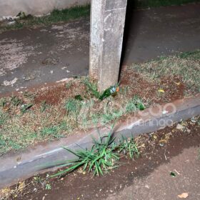 Homem morre após passar mal e bater moto contra poste em Sarandi Foto 4 Fotos de Homem morre após passar mal e bater moto contra poste em Sarandi