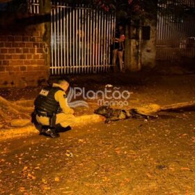 Jovem é executado com mais de 20 tiros em Maringá Foto 20 Fotos de Jovem é executado com mais de 20 tiros em Maringá