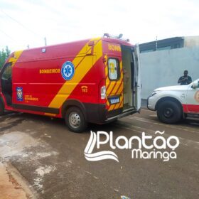 Motoboy é intubado após acidente com ônibus coletivo em Sarandi Foto 7 Fotos de Motoboy é intubado após acidente com ônibus coletivo em Sarandi