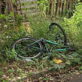Criança morre após bater bicicleta contra árvore em Mandaguaçu Foto 3 Fotos de Criança morre após bater bicicleta contra árvore em Mandaguaçu