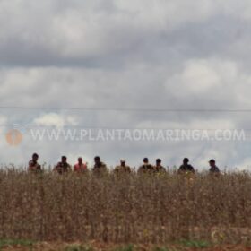 Identificados os dois indivíduos que morreram em confronto com a Choque Maringá Foto 11 Fotos de Identificados os dois indivíduos que morreram em confronto com a Choque Maringá