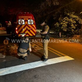 Homem é baleado e socorrido em estado grave após atentado, em Maringá Foto 15 Fotos de Homem é baleado e socorrido em estado grave após atentado, em Maringá
