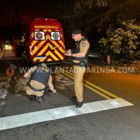 Homem é baleado e socorrido em estado grave após atentado, em Maringá Foto 7 Fotos de Homem é baleado e socorrido em estado grave após atentado, em Maringá