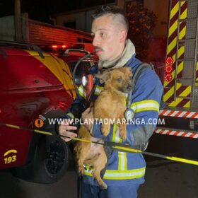 Homem fica ferido durante incêndio em residência em Sarandi Foto 3 Fotos de Homem fica ferido durante incêndio em residência em Sarandi