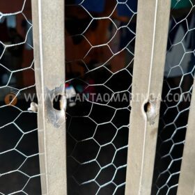 Jovens sofrem atentado a tiros no Jardim Universal em Sarandi Foto 2 Fotos de Jovens sofrem atentado a tiros no Jardim Universal em Sarandi