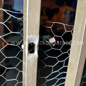 Jovens sofrem atentado a tiros no Jardim Universal em Sarandi Foto 3 Fotos de Jovens sofrem atentado a tiros no Jardim Universal em Sarandi